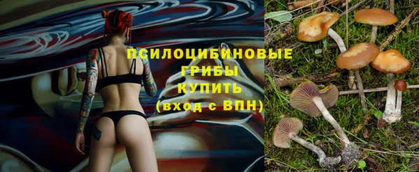 ECSTASY Армянск