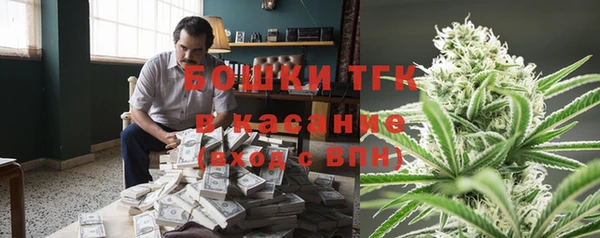 прущие грибы Алексин